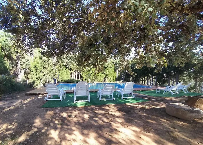 Pozuelo 1 JABUGO