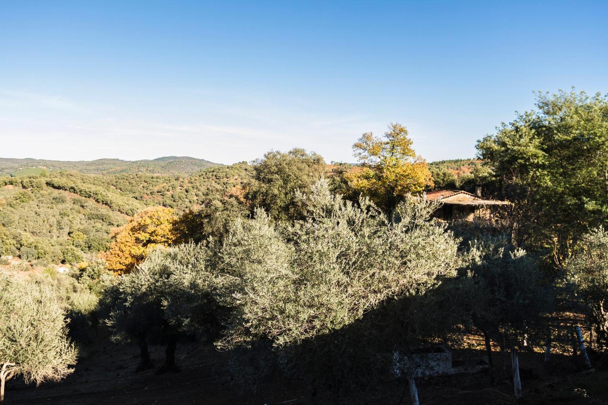Casa rural Pozuelo 1 *