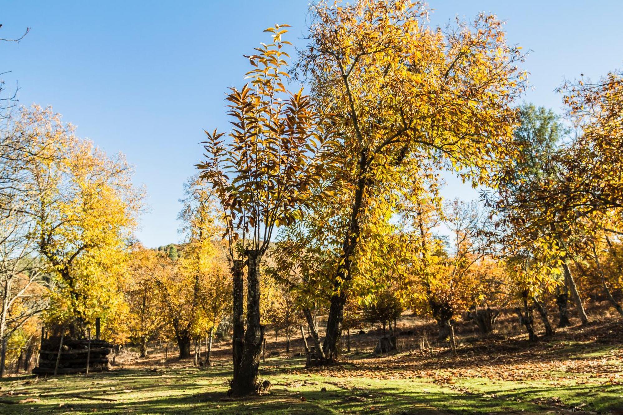 Casa rural Pozuelo 1